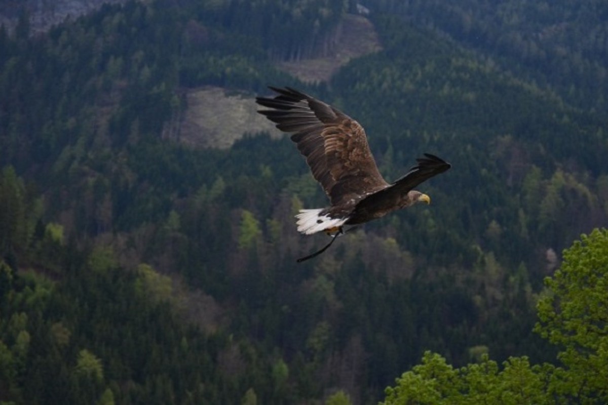 Nationalpark Engadin