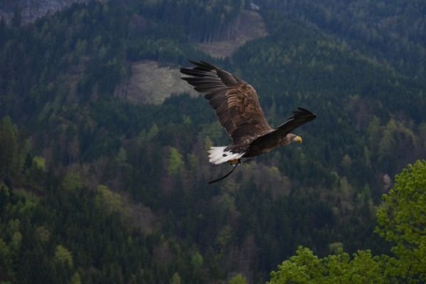 Nationalpark Engadin