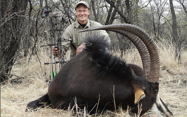 Dentiste Walter Palmer