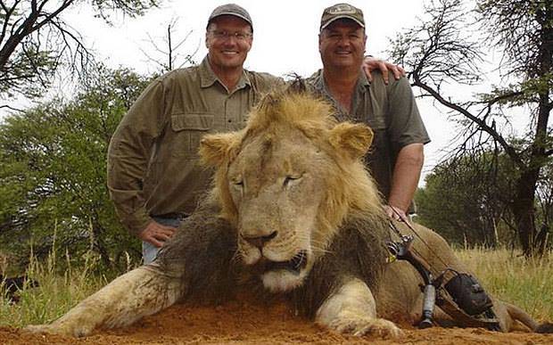 Dentiste Walter Palmer