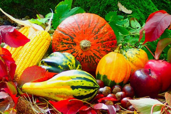 Ernährung: Der zivilisierte Geschmack