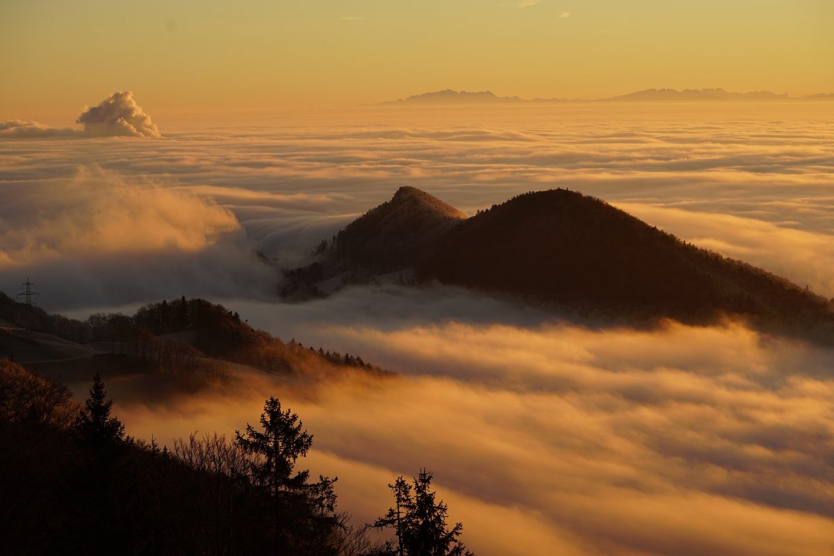 Nationalpark Nordschwarzwald wird jagdfrei