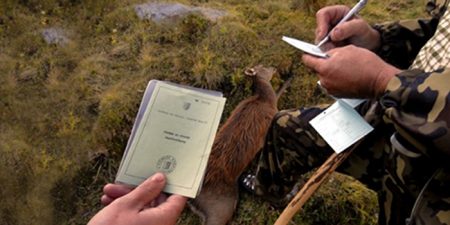 Wallis: Geschäftsprüfungskommission übt massive Kritik an der Dienststelle für Jagd, Fischerei und Wildtiere Jagd Wallis
