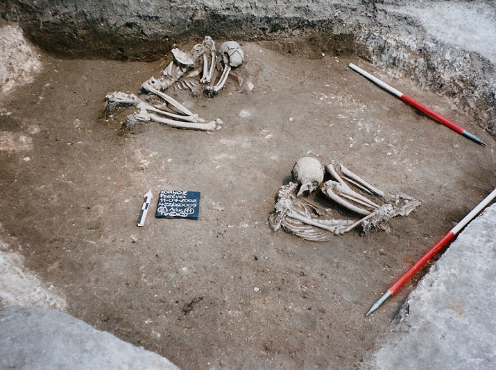 DNA-Analysen zeichnen die Abstammungslinie europäischer Bauern bis in die Ägäis nach. Die Erbinformation stammte unter anderem aus diesen 8500 Jahre alten Knochen, die in Revenia im Norden Griechenlands ausgegraben wurden.