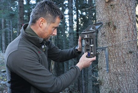 Fotofallen: Im Kanton Wallis für die Jagd verboten Fotofallen: Im Kanton Wallis für die Jagd verboten