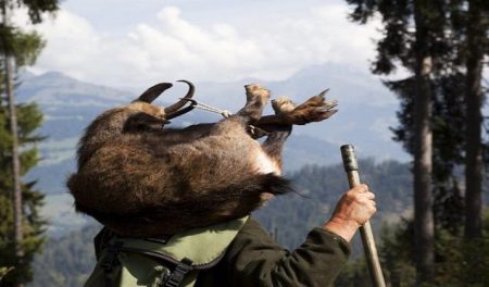 Jagd graubuenden