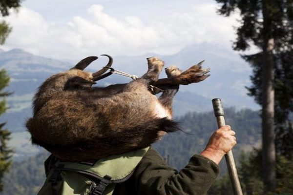 Keine Promillegrenze für Bündner Hobby-Jäger
