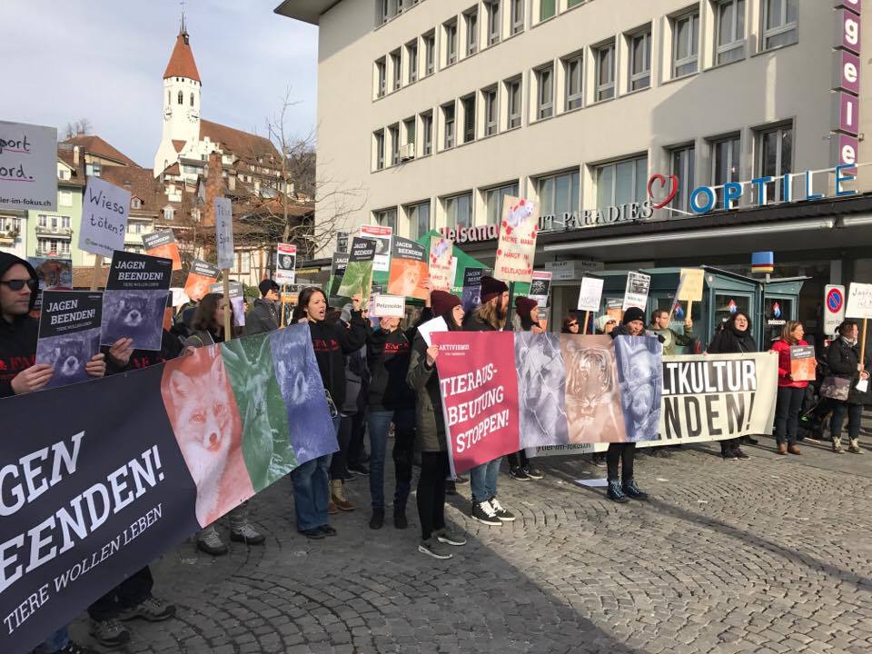 Trophäenschau Thun Kritik