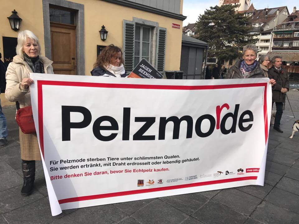 Fellmarkt Thun Gegendemo