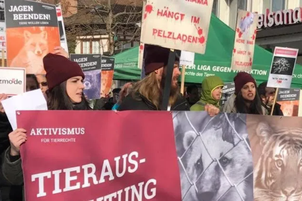 Trophäenschau Thun: Makaberes Hobby-Jägertreffen