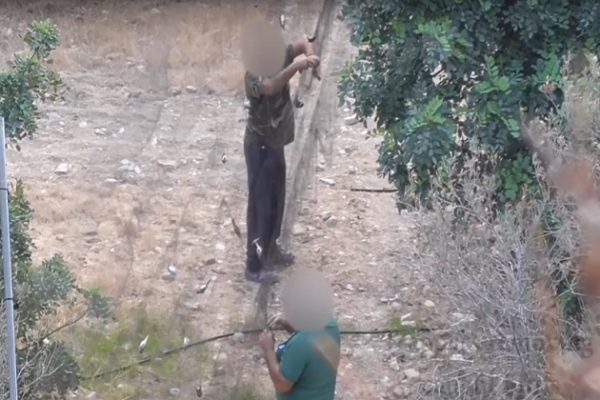 Cipro: bracconaggio di uccelli da parte di cacciatori per hobby fuori controllo