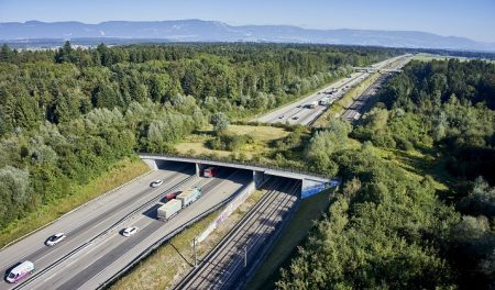 Wildtierbruecke Utzenstorf