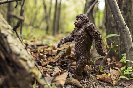 Alexander Schwab: Der Hobby-Killer Bigfoot