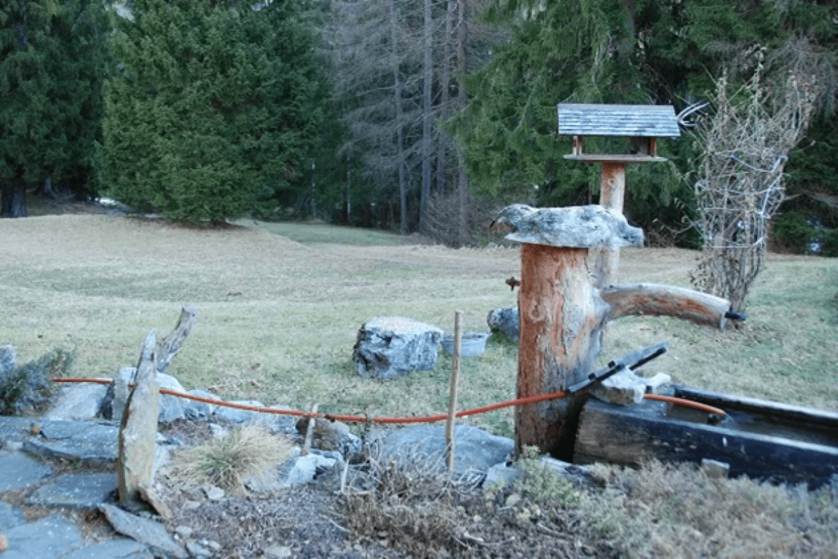 Graubünden Strafanzeige gegen das Amt für Jagd und Fischerei