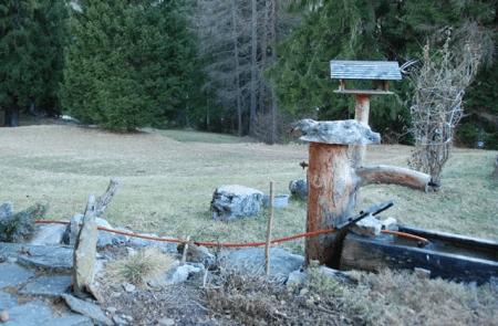 Graubünden: Strafanzeige gegen das Amt für Jagd und Fischerei Graubünden Strafanzeige gegen das Amt für Jagd und Fischerei