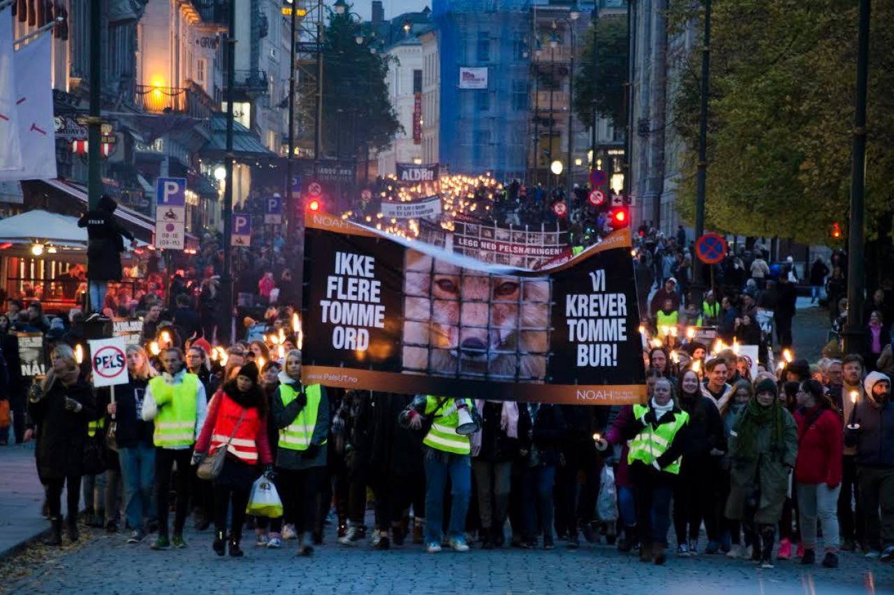 Norwegen will Pelzfarmen abschaffen