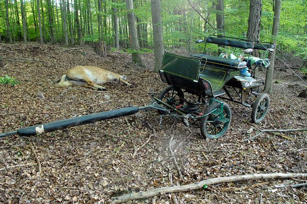 Horse-drawn carriage accidents 2017: Three dead and 67 injured