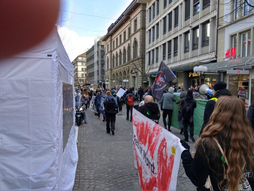 Demo gegen Pelzmarkt Thun