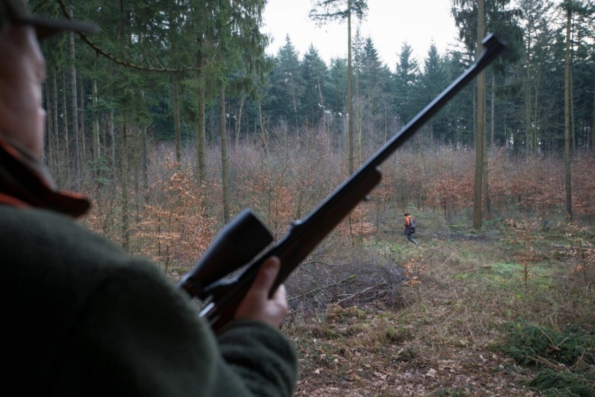 Hobby-Jäger muss 40’000 Euro bezahlen, weil er Hund erschoss