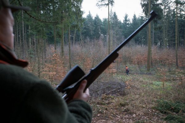 Un chasseur de loisir doit payer 40'000 euros pour avoir abattu un chien