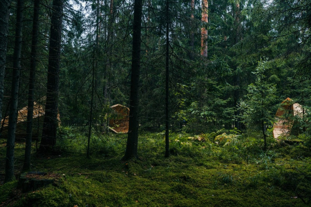 Um die Natur zu hören, bauen sie Megafone aus Holz