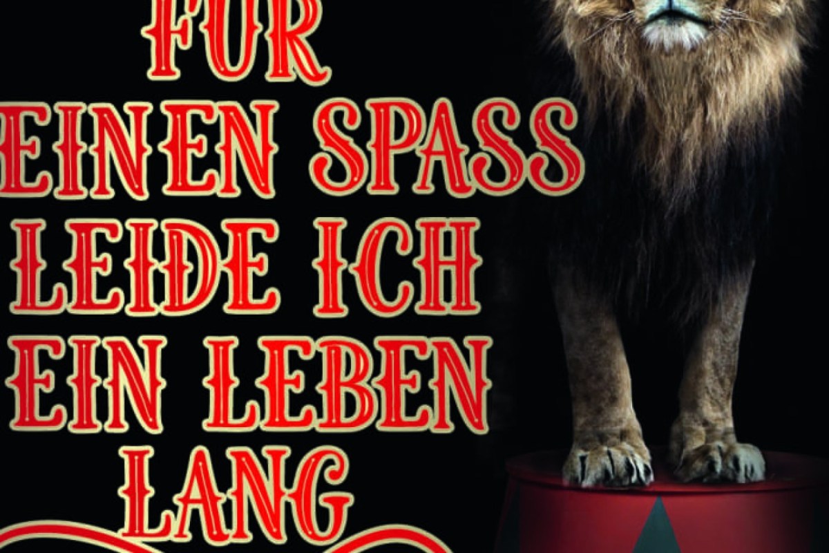 England: Verbot von Wildtieren im Zirkus