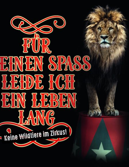 England: Verbot von Wildtieren im Zirkus Zirkus iloveimg compressed
