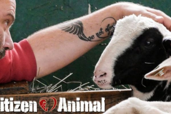 Citizen Animal – «Do animals have civil rights?»
