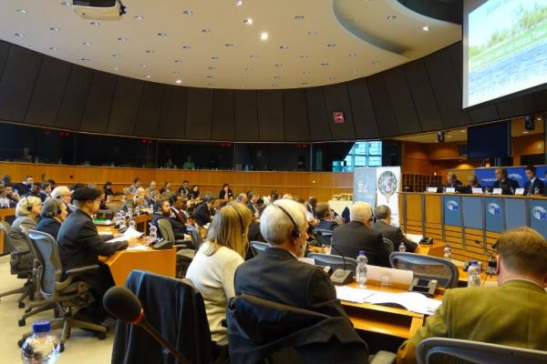 Brussels: coexistence with large carnivores in the EU