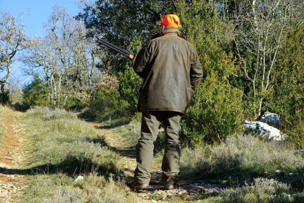 What is a hobby hunter?