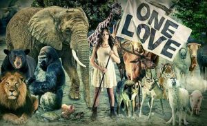 Künstlerin Morgaine