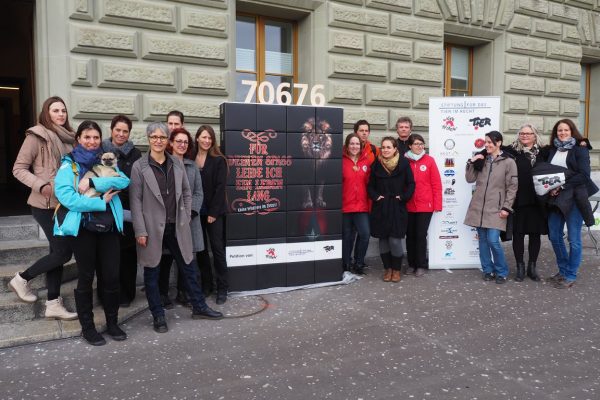 Bern: Animal welfare advocates call for ban on wild animals in circuses