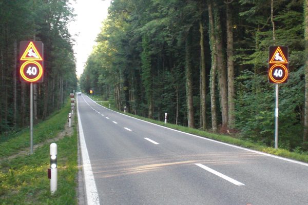 Zürich: Neue Wildtier-Warnung für Autofahrer