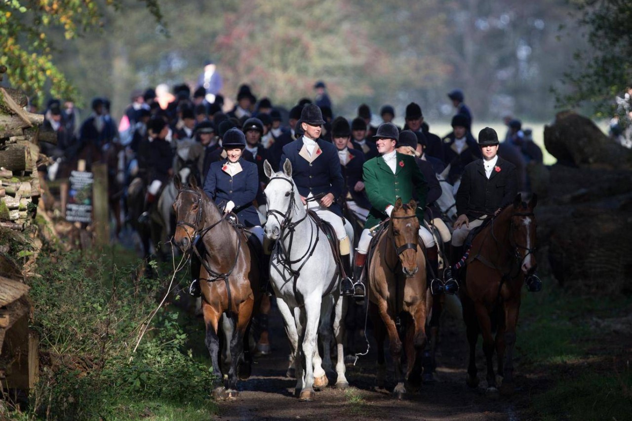 England: Hunderte illegale Jagden