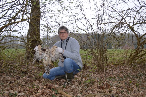 Allemagne : un chasseur de loisir empoisonne des rapaces