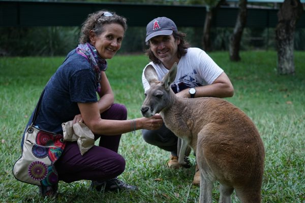 Australia: mroczna tajemnica kangurów