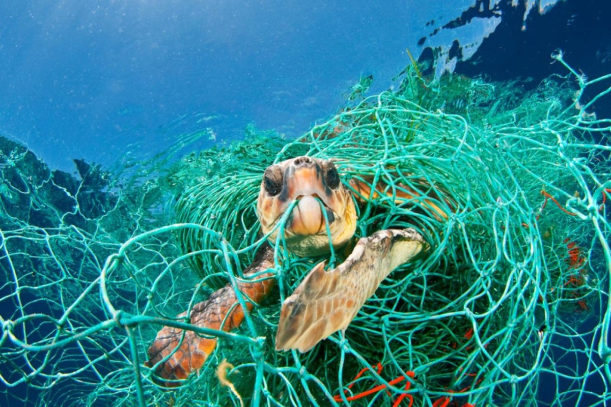 Mittelmeer wird mit Plastik zugemüllt