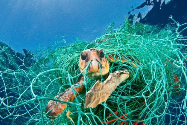 Mittelmeer wird mit Plastik zugemüllt