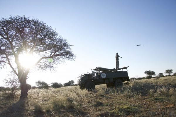 Drohnen zählen Wildtiere in Afrika
