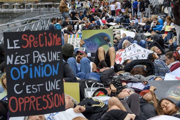 Demonstration für Tierrechte in Genf