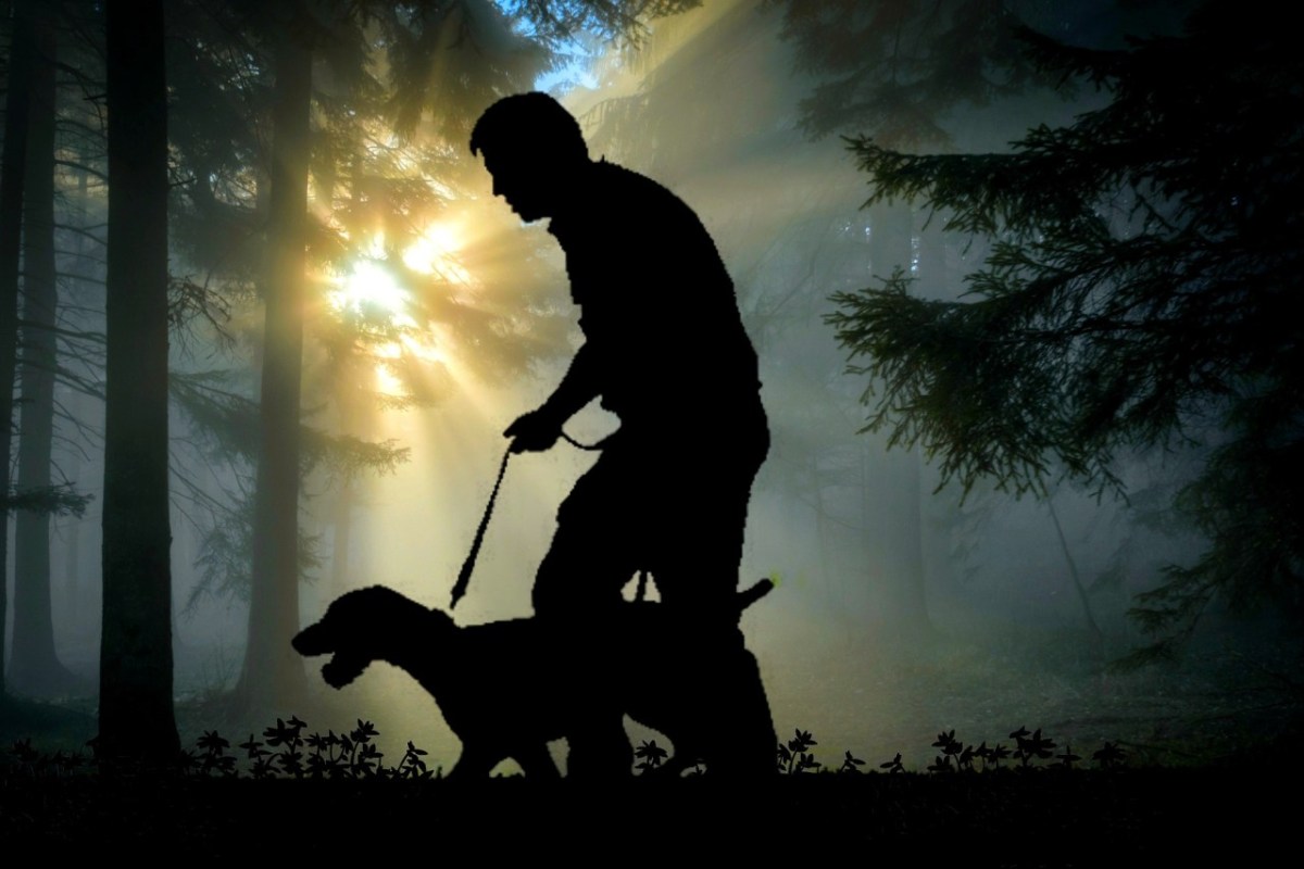 Jagdhund