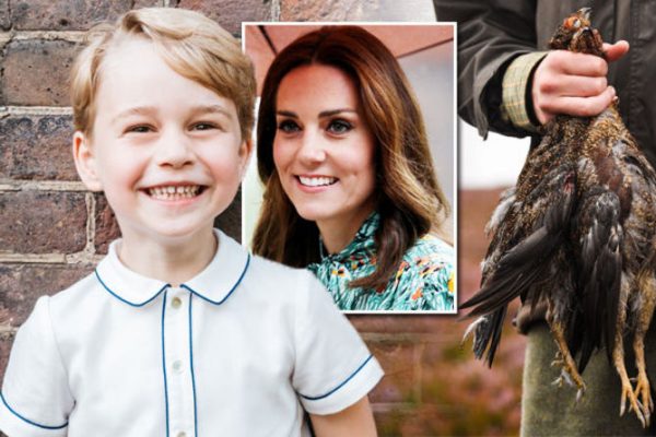 England: Prinz George muss mit 5 Jahren mit auf die Jagd