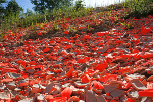 Strafanzeige wegen Jagdschiessanlage im Kanton Zürich