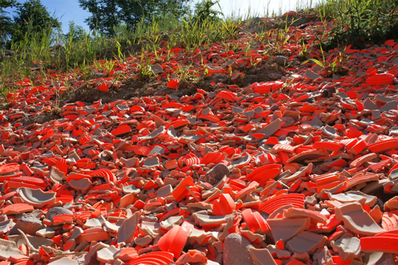 Strafanzeige wegen Jagdschiessanlage im Kanton Zürich