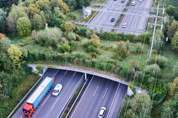 Wildtierbrücke: Über die A2 in Luzern
