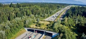 Wildtierbrücke Kilchberg BE