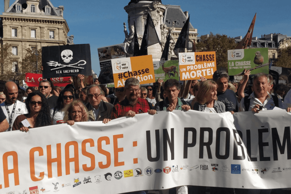 Anti Jagd Demo Frankreich