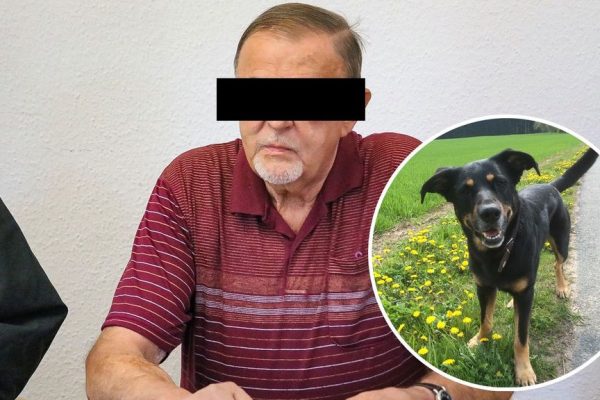 Deutschland: Hobby-Jäger begeht Hundemord und wird verurteilt