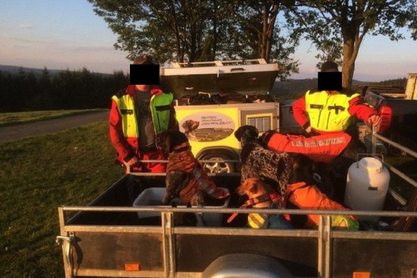 Un chasseur de loisir lance ses chiens sur un chat : lourde amende