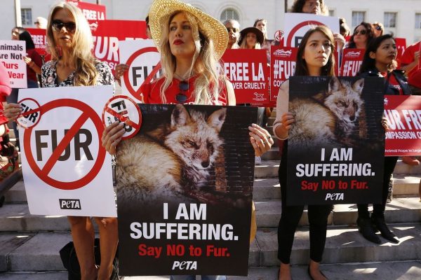 USA: Grosse Städte an der Westküste wollen keinen Pelz mehr